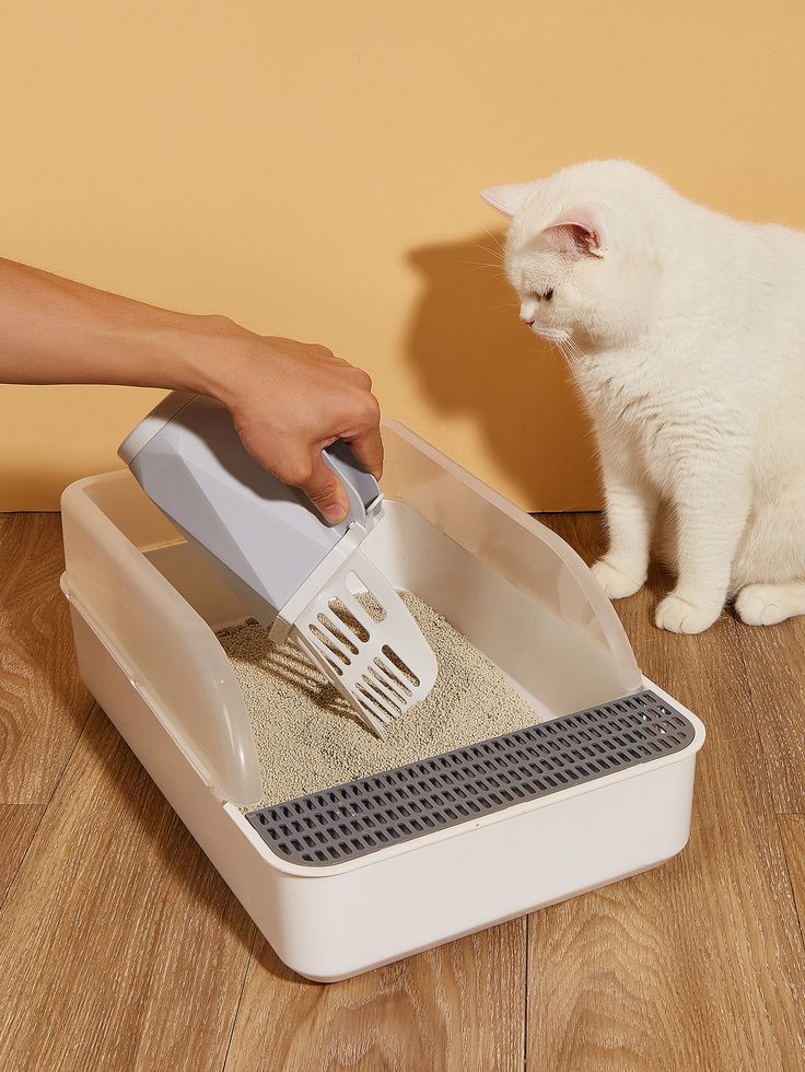 Litter Related Essentials