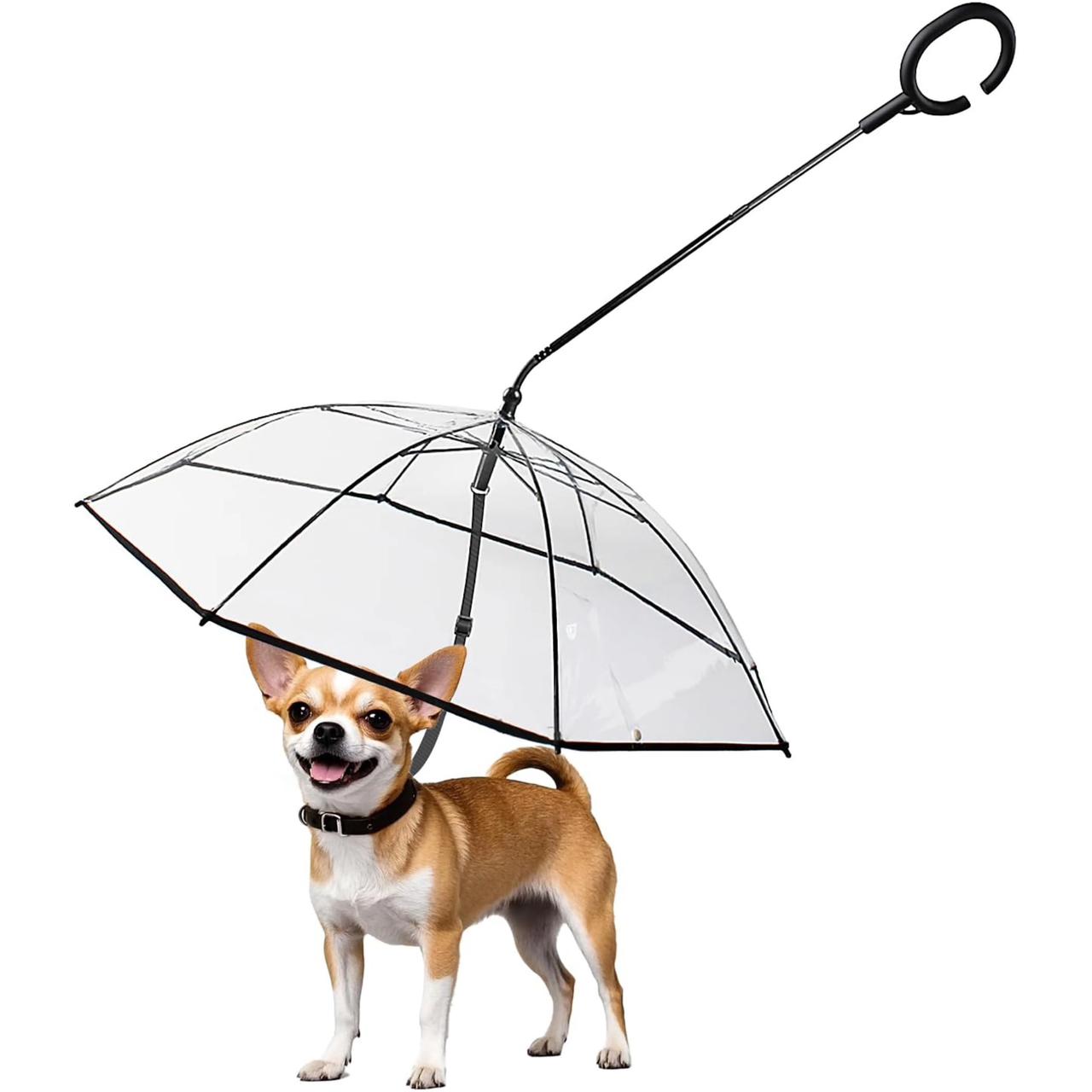 Pet Umbrella