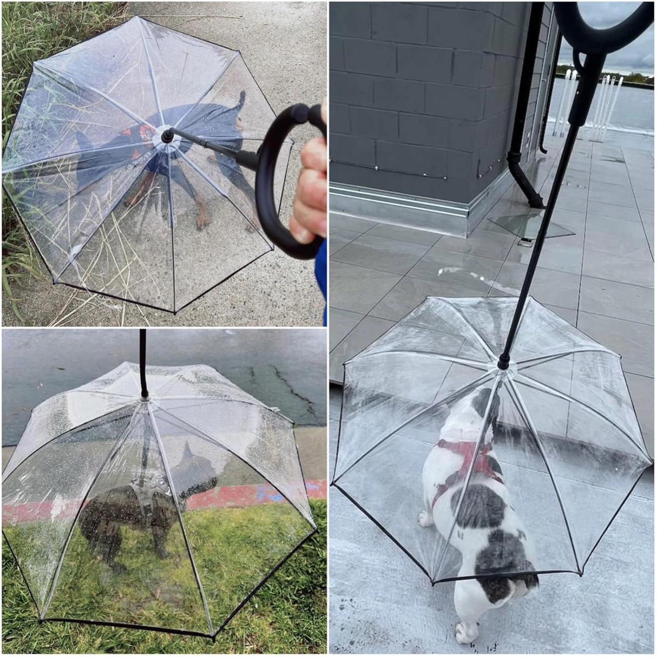 Pet Umbrella