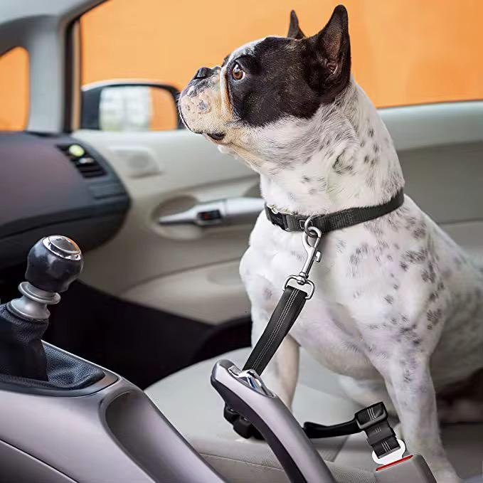 Pet Safety Belt
